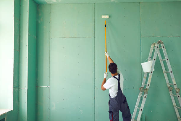 Mold Odor Removal Services in Hettinger, ND