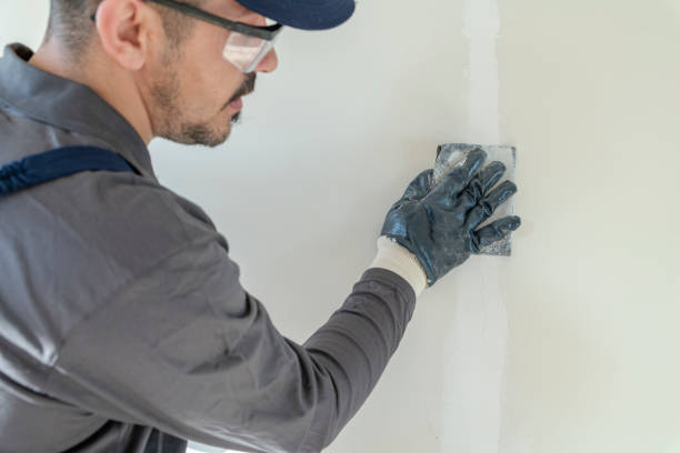 Best Forensic Mold Investigation  in Hettinger, ND