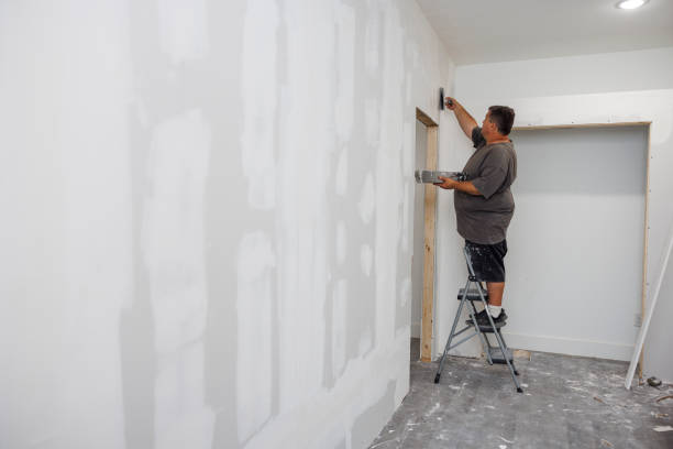 Best Emergency Mold Remediation  in Hettinger, ND