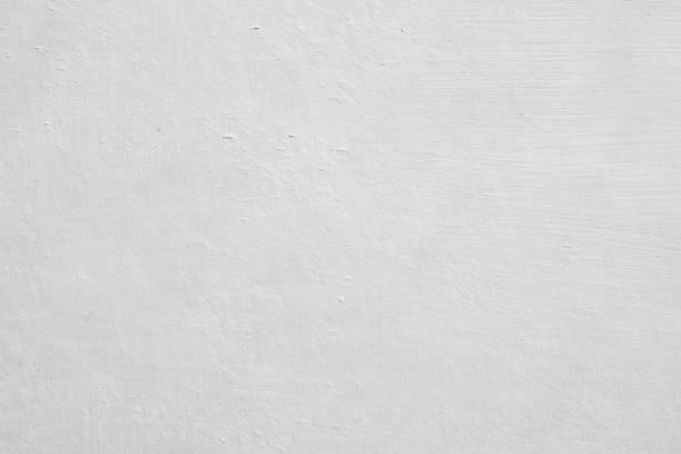 Best Mold Damage Restoration  in Hettinger, ND