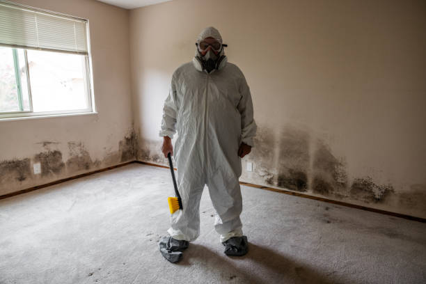 Best Forensic Mold Investigation  in Hettinger, ND