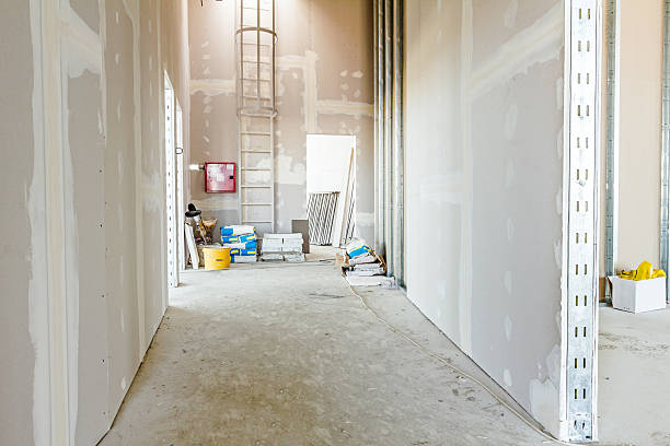 Best Mold Removal for HVAC Installations  in Hettinger, ND