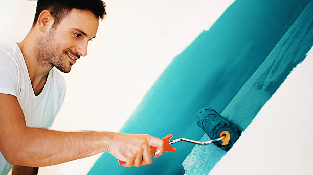 Best Biohazard Mold Removal  in Hettinger, ND