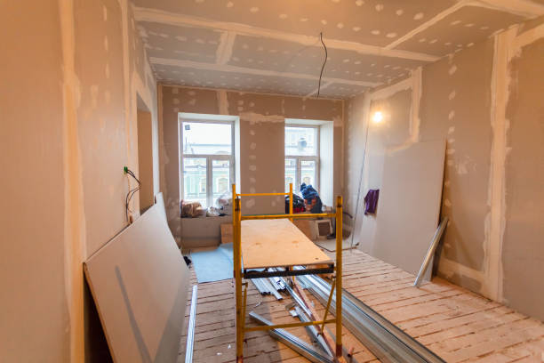Best Mold Documentation for Insurance Claims  in Hettinger, ND